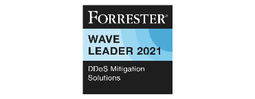 DDoS Wave Leader