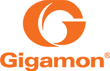 Gigamon