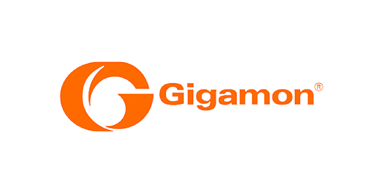 GIGAMON 로고
