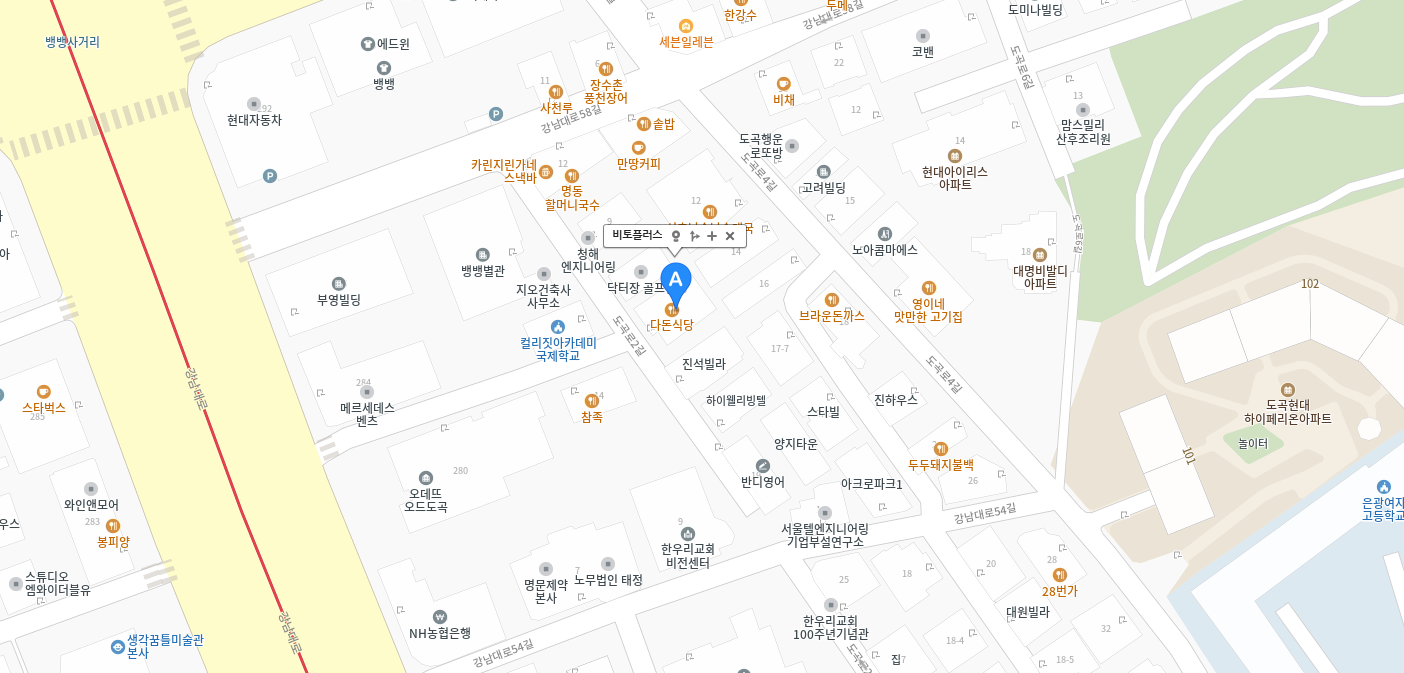 비토플러스 본사 위치 — 서울특별시 강남구 도곡로2길 13, 2층